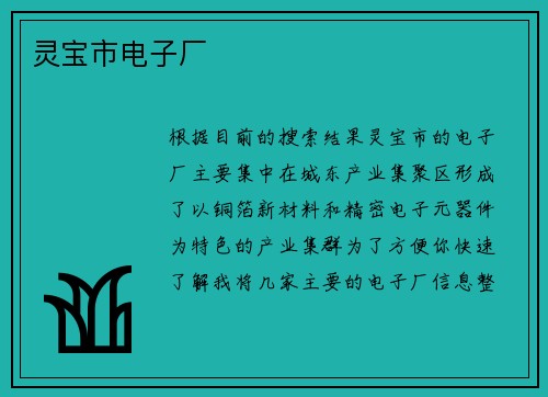 灵宝市电子厂